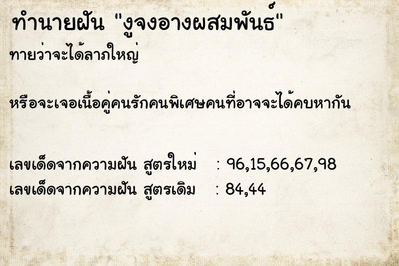 ทำนายฝัน งูจงอางผสมพันธ์