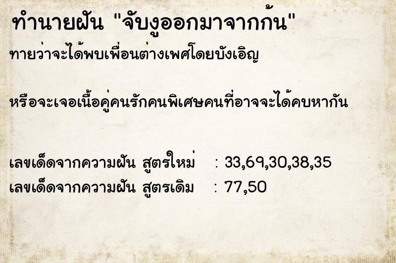 ทำนายฝันจับงูออกมาจากก้น ทำนายฝันทำนายฝันจับงูออกมาจากก้น