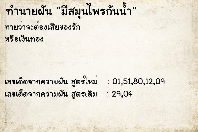 ทำนายฝันทำนายฝันมีสมุนไพรกันน้ำ