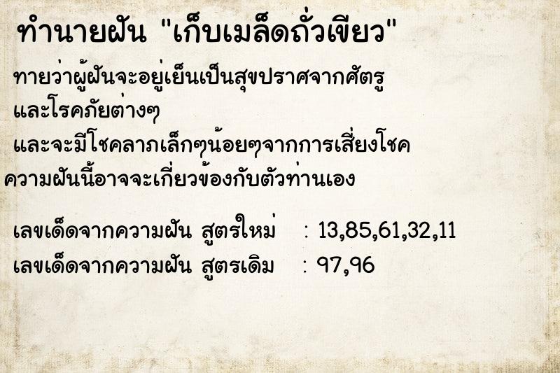 ทำนายฝันเก็บเมล็ดถั่วเขียว ทำนายฝันทำนายฝันเก็บเมล็ดถั่วเขียว