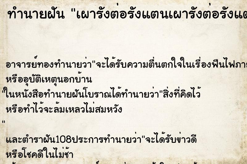 ทำนายฝัน เผารังต่อรังแตนเผารังต่อรังแต ทำนายฝัน เผารังต่อรังแตนเผารังต่อรังแต