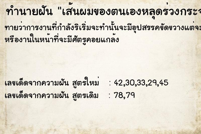 ทำนายฝันเส้นผมของตนเองหลุดร่วงกระจายทั่วร่างกาย ทำนายฝันทำนายฝันเส้นผมของตนเองหลุดร่วงกระจายทั่วร่างกาย