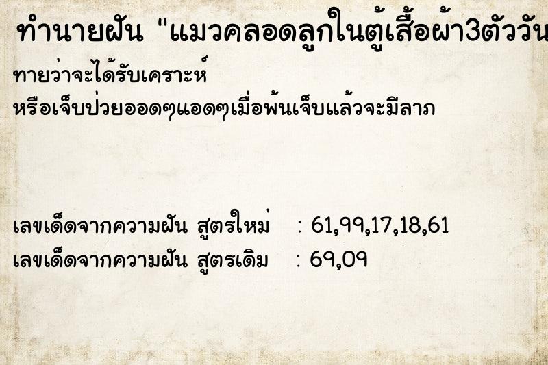 ทำนายฝันแมวคลอดลูกในตู้เสื้อผ้า3ตัววัน ทำนายฝันทำนายฝันแมวคลอดลูกในตู้เสื้อผ้า3ตัววัน