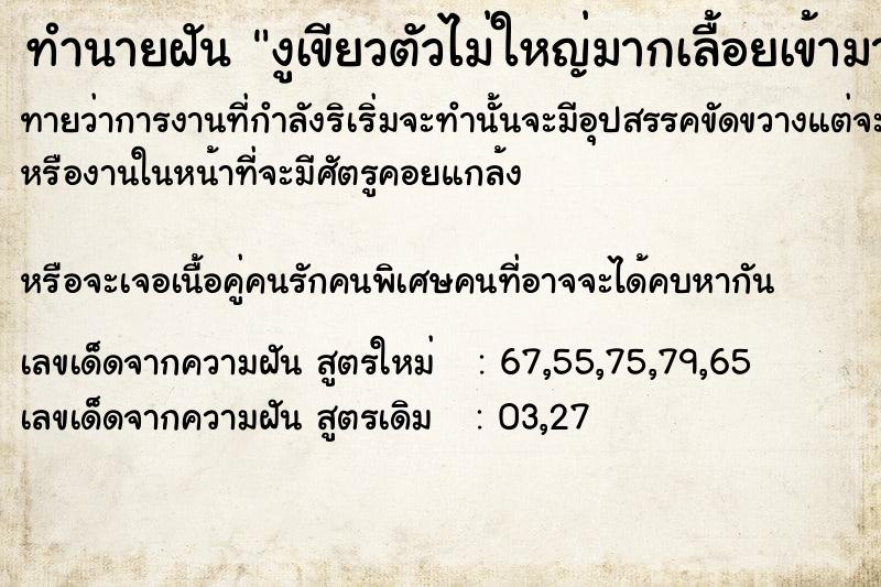 ทำนายฝันงูเขียวตัวไม่ใหญ่มากเลื้อยเข้ามาหา ทำนายฝันทำนายฝันงูเขียวตัวไม่ใหญ่มากเลื้อยเข้ามาหา