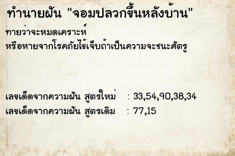 ทำนายฝันจอมปลวกขึ้นหลังบ้าน ทำนายฝันทำนายฝันจอมปลวกขึ้นหลังบ้าน