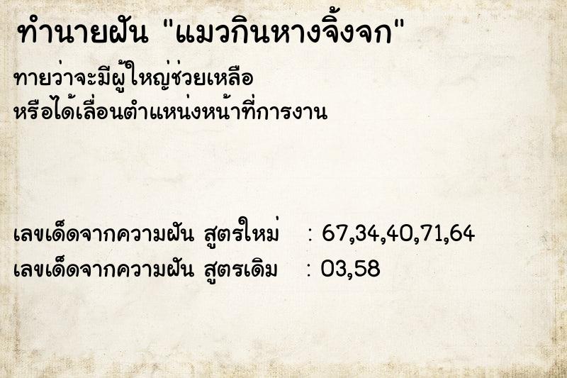 ทำนายฝัน แมวกินหางจิ้งจก ตำราโบราณ แม่นที่สุดในโลก