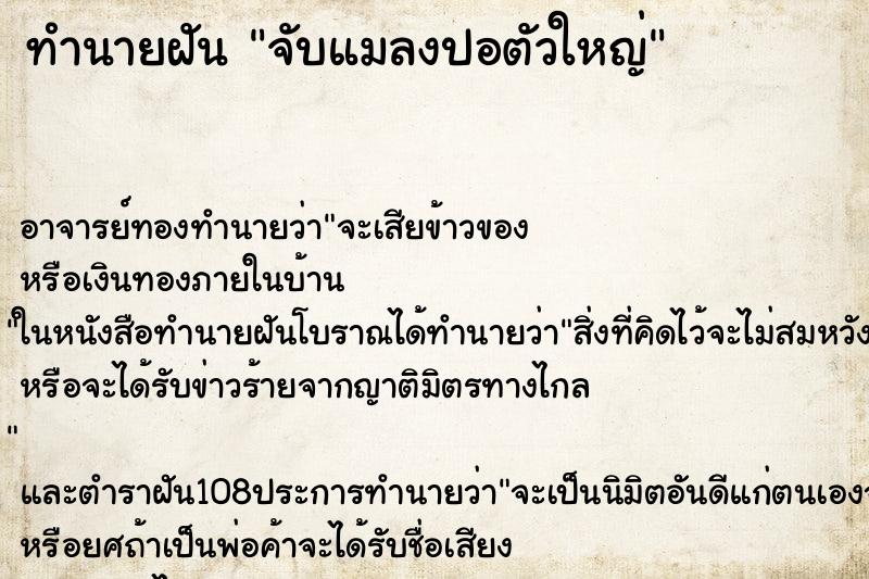 ทำนายฝันทำนายฝันจับแมลงปอตัวใหญ่
