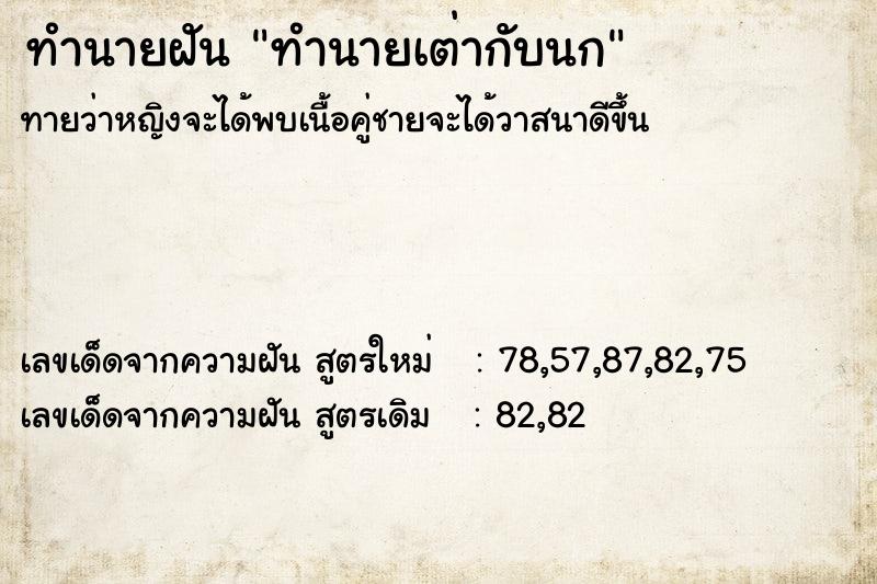 ทำนายฝันทำนายเต่ากับนก ทำนายฝันทำนายฝันทำนายเต่ากับนก
