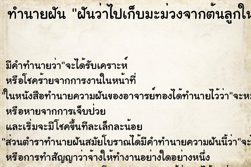 ทำนายฝัน ฝันว่าไปเก็บมะม่วงจากต้นลูกใหญ่หลายลูก ตำราโบราณ แม่นที่สุดในโลก