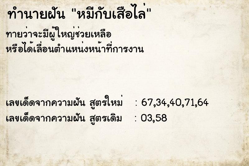 ทำนายฝันหมีกับเสือไล่ ทำนายฝันทำนายฝันหมีกับเสือไล่