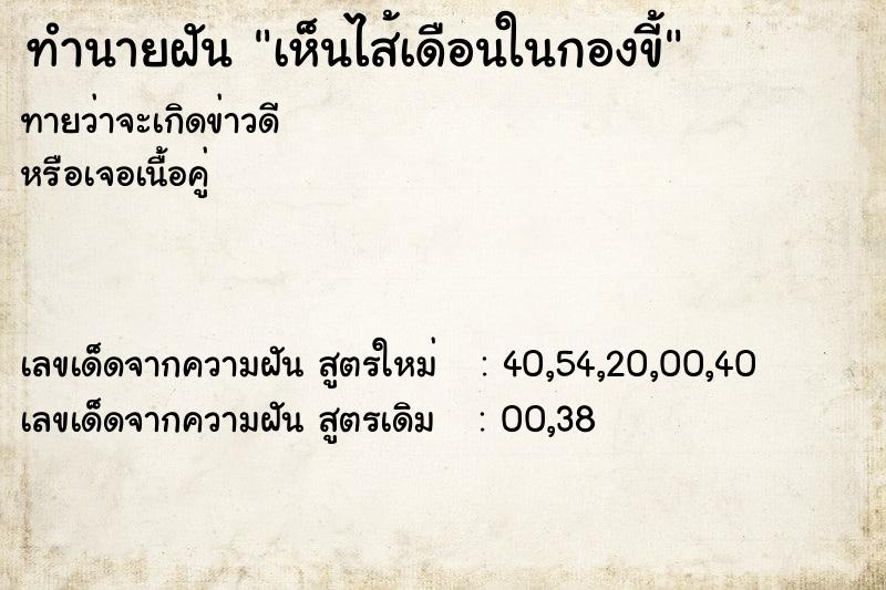 ทำนายฝันทำนายฝันเห็นไส้เดือนในกองขี้