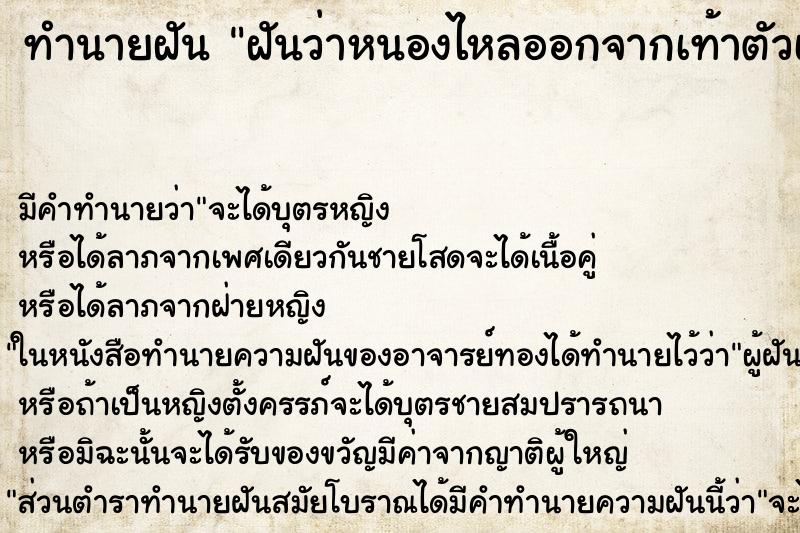ทำนายฝัน ฝันว่าหนองไหลออกจากเท้าตัวเอง ทำนายฝัน ฝันว่าหนองไหลออกจากเท้าตัวเอง