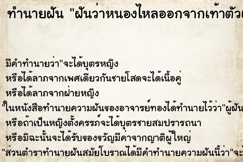 ทำนายฝัน ฝันว่าหนองไหลออกจากเท้าตัวเอง ตำราโบราณ แม่นที่สุดในโลก