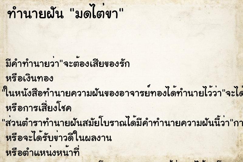 ทำนายฝัน มดไต่ขา ทำนายฝัน มดไต่ขา