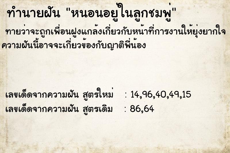 ทำนายฝันหนอนอยู่ในลูกชมพู่ ทำนายฝันทำนายฝันหนอนอยู่ในลูกชมพู่