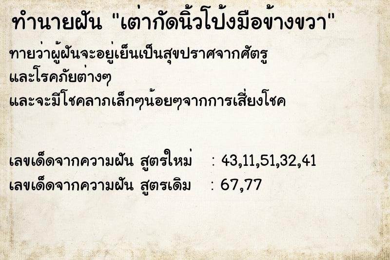 ทำนายฝันเต่ากัดนิ้วโป้งมือข้างขวา ทำนายฝันทำนายฝันเต่ากัดนิ้วโป้งมือข้างขวา