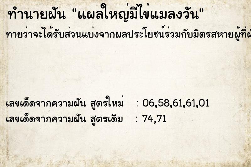 ทำนายฝันทำนายฝันแผลใหญ่มีไข่แมลงวัน
