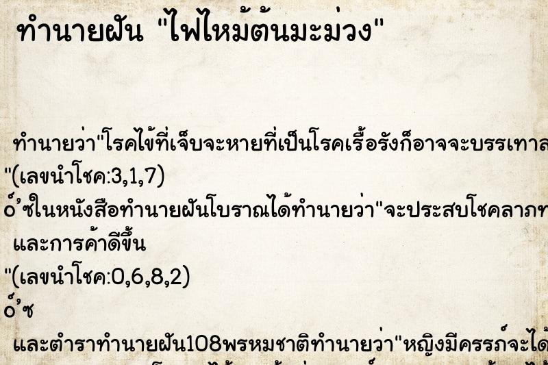 ทำนายฝัน ไฟไหม้ต้นมะม่วง
