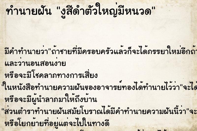 ทำนายฝันงูสีดำตัวใหญ่มีหนวด ทำนายฝันทำนายฝันงูสีดำตัวใหญ่มีหนวด