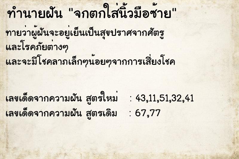 ทำนายฝันจกตกใส่นิ้วมือซ้าย ทำนายฝันทำนายฝันจกตกใส่นิ้วมือซ้าย