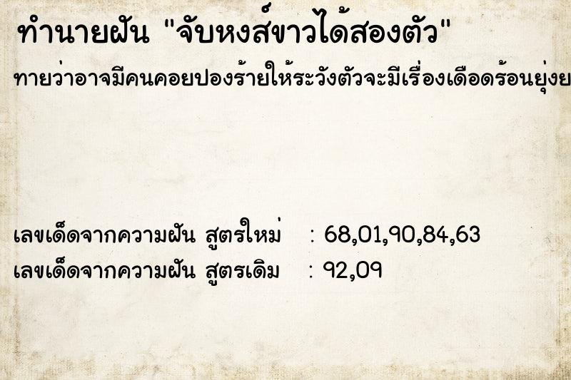 ทำนายฝันจับหงส์ขาวได้สองตัว ทำนายฝันทำนายฝันจับหงส์ขาวได้สองตัว