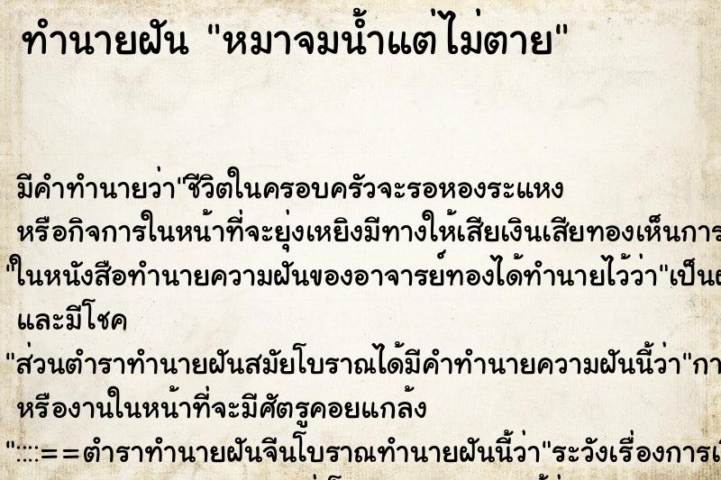 ทำนายฝัน หมาจมน้ำแต่ไม่ตาย แม่นๆ ฟรี ด้วยตำราหนังสือทำนายฝันโบราณ ทำนายฝันหมาจมน้ำแต่ไม่ตาย