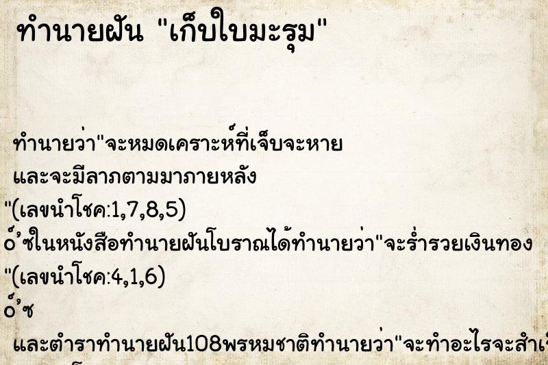 ทำนายฝันเก็บใบมะรุม ทำนายฝันทำนายฝันเก็บใบมะรุม