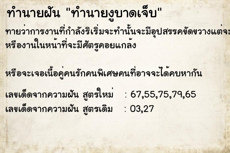 ทำนายฝันทำนายงูบาดเจ็บ ทำนายฝันทำนายฝันทำนายงูบาดเจ็บ