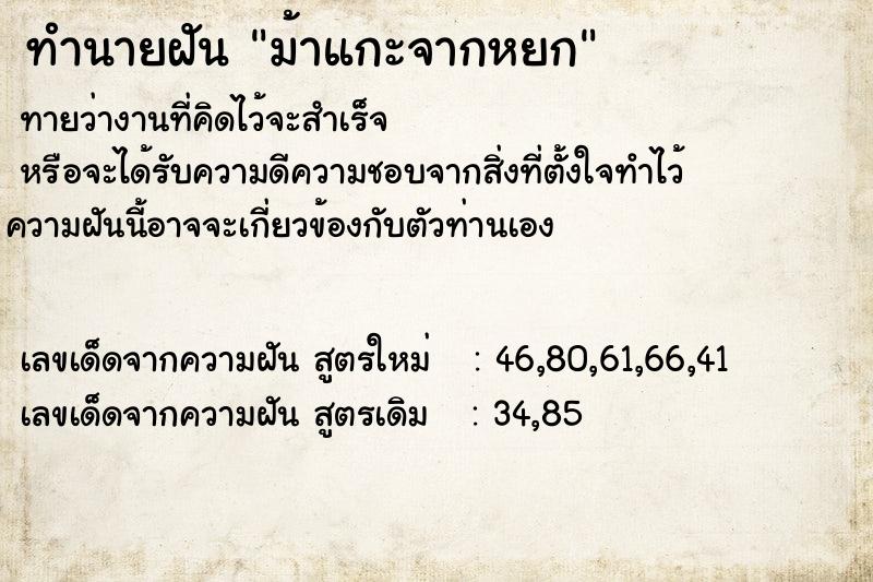 ทำนายฝันทำนายฝันม้าแกะจากหยก