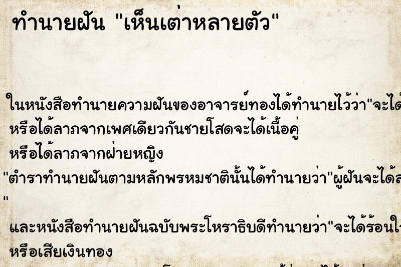 ทำนายฝัน เห็นเต่าหลายตัว ทำนายฝัน เห็นเต่าหลายตัว