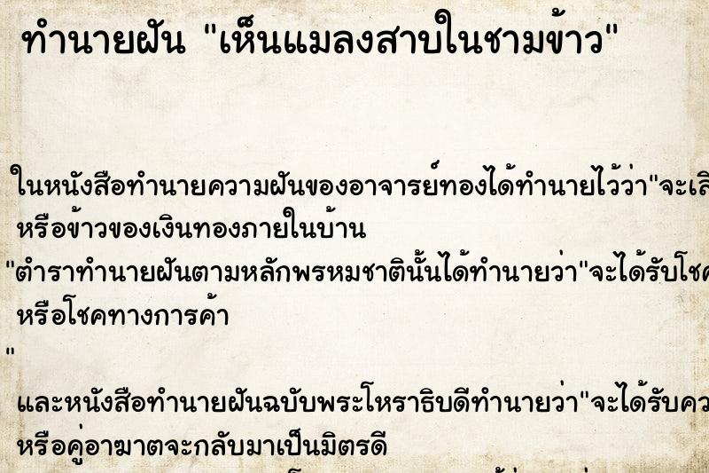 ทำนายฝัน เห็นแมลงสาบในชามข้าว ทำนายฝัน เห็นแมลงสาบในชามข้าว
