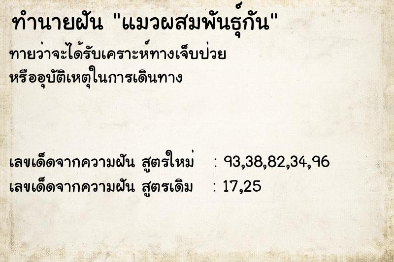 ทำนายฝันทำนายฝันแมวผสมพันธุ์กัน