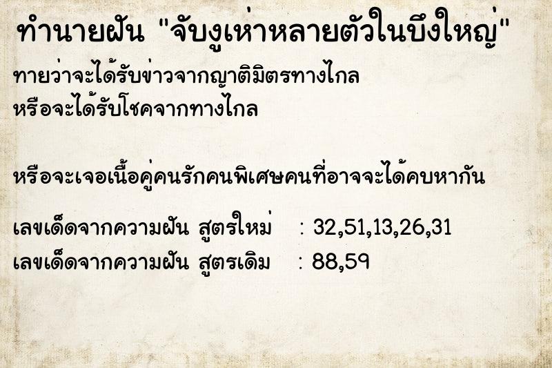 ทำนายฝันจับงูเห่าหลายตัวในบึงใหญ่ ทำนายฝันทำนายฝันจับงูเห่าหลายตัวในบึงใหญ่