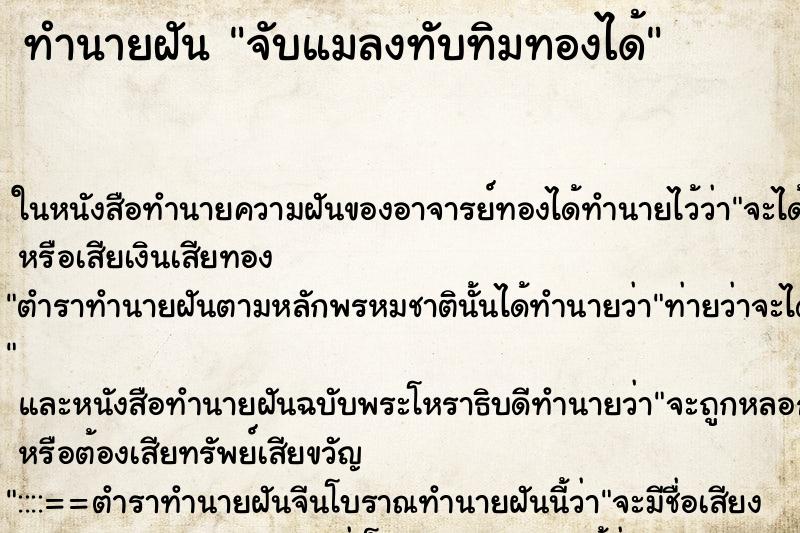 ทำนายฝันทำนายฝันจับแมลงทับทิมทองได้