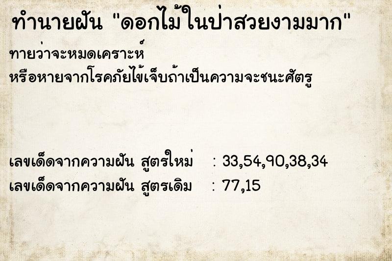 ทำนายฝันดอกไม้ในป่าสวยงามมาก ทำนายฝันทำนายฝันดอกไม้ในป่าสวยงามมาก