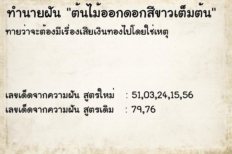 ทำนายฝันทำนายฝันต้นไม้ออกดอกสีขาวเต็มต้น