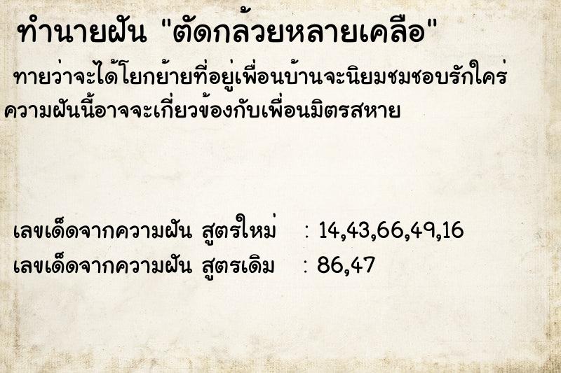 ทำนายฝันตัดกล้วยหลายเคลือ ทำนายฝันทำนายฝันตัดกล้วยหลายเคลือ