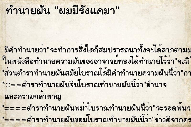 ทำนายฝันทำนายฝันผมมีรังแคมา