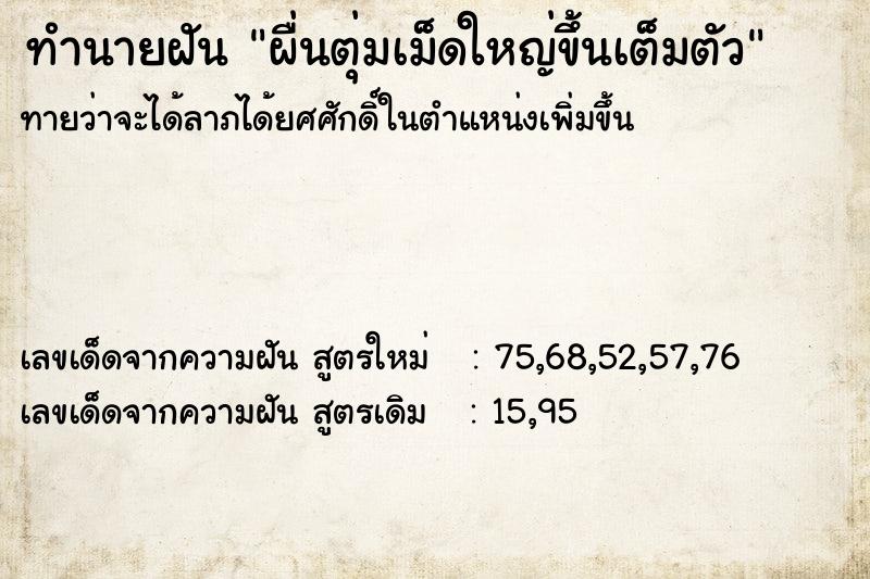 ทำนายฝันทำนายฝันผื่นตุ่มเม็ดใหญ่ขึ้นเต็มตัว
