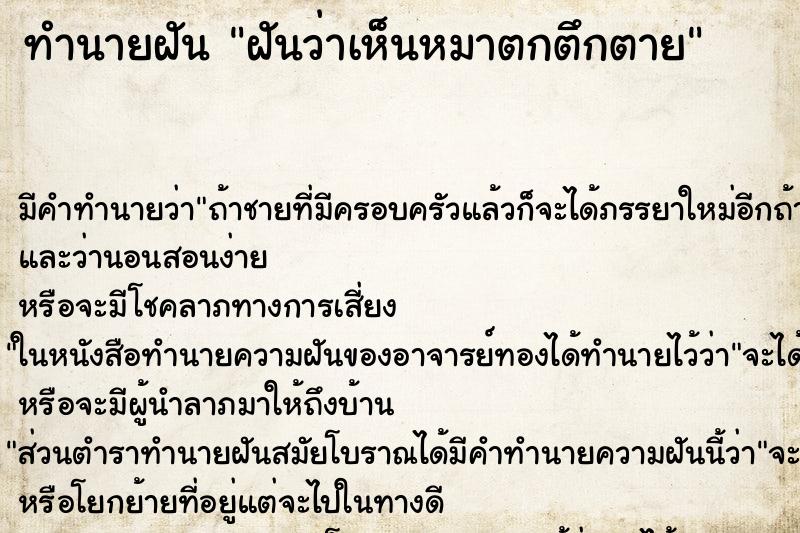 ทำนายฝัน ฝันว่าเห็นหมาตกตึกตาย ทำนายฝัน ฝันว่าเห็นหมาตกตึกตาย
