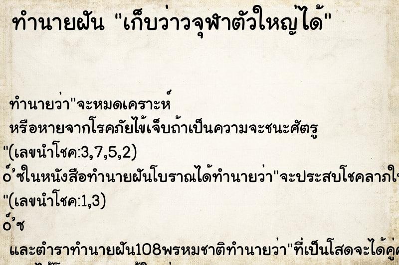 ทำนายฝันทำนายฝันเก็บว่าวจุฬาตัวใหญ่ได้