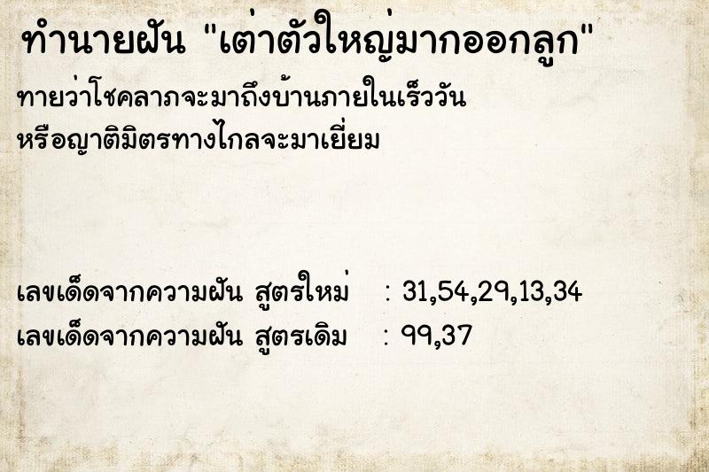 ทำนายฝัน เต่าตัวใหญ่มากออกลูก ทำนายฝัน เต่าตัวใหญ่มากออกลูก