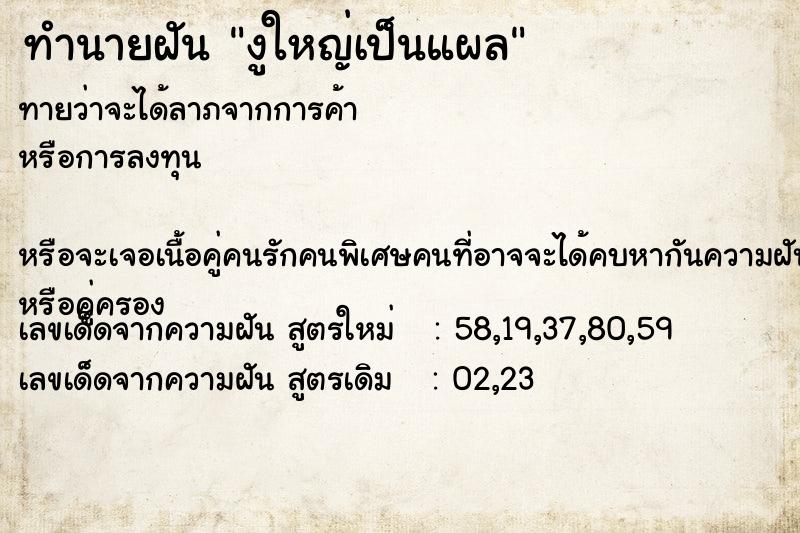 ทำนายฝันงูใหญ่เป็นแผล ทำนายฝันทำนายฝันงูใหญ่เป็นแผล