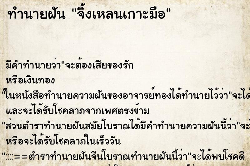 ทำนายฝัน จิ้งเหลนเกาะมือ ทำนายฝัน จิ้งเหลนเกาะมือ