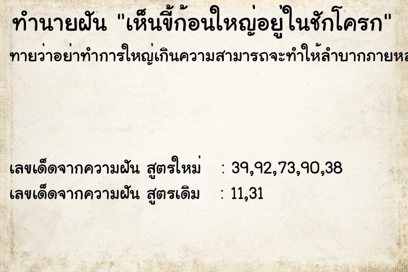ทำนายฝันเห็นขี้ก้อนใหญ่อยู่ในชักโครก ทำนายฝันทำนายฝันเห็นขี้ก้อนใหญ่อยู่ในชักโครก
