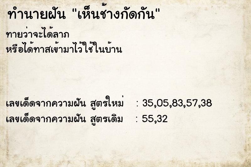 ทำนายฝันเห็นช้างกัดกัน ทำนายฝันทำนายฝันเห็นช้างกัดกัน