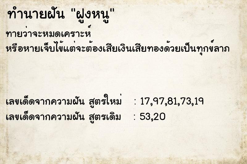 ทำนายฝันฝูงหนู ทำนายฝันทำนายฝันฝูงหนู