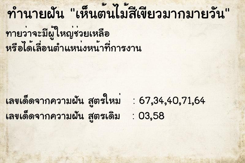 ทำนายฝันเห็นต้นไม้สีเขียวมากมายวัน ทำนายฝันทำนายฝันเห็นต้นไม้สีเขียวมากมายวัน