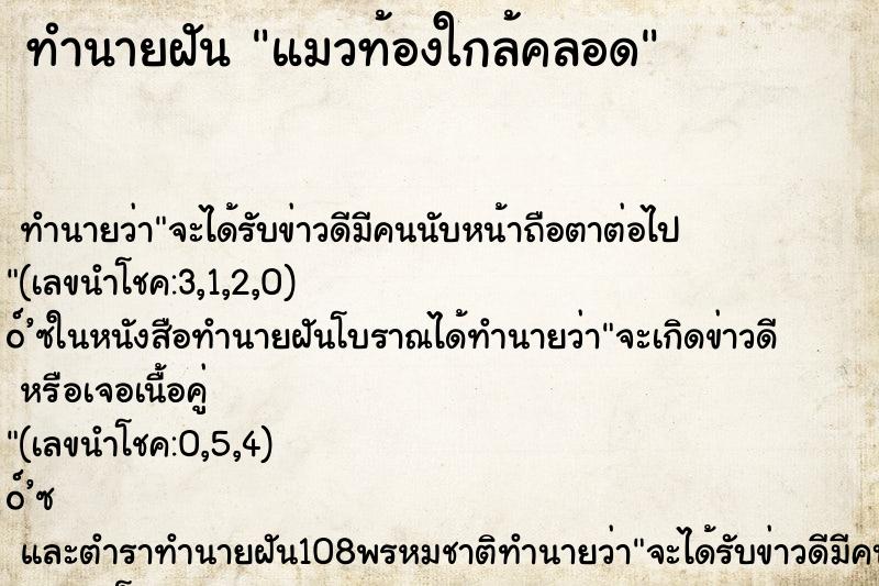 ทำนายฝัน แมวท้องใกล้คลอด ทำนายฝัน แมวท้องใกล้คลอด
