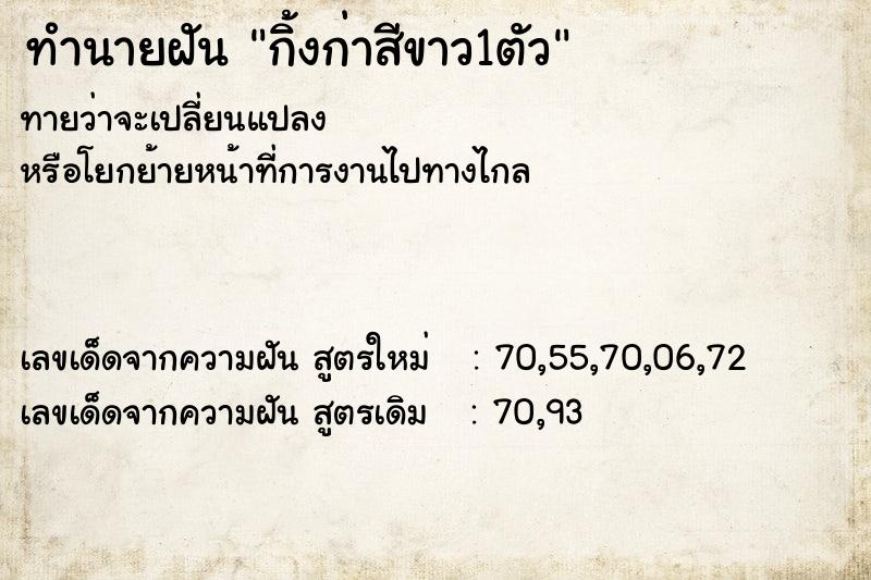 ทำนายฝันกิ้งก่าสีขาว1ตัว ทำนายฝันทำนายฝันกิ้งก่าสีขาว1ตัว
